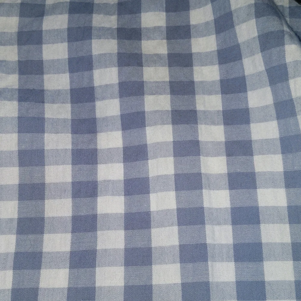 Harve Benard, light blue gingham shorts. Size 14